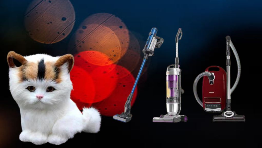 Best Pet Vacuum