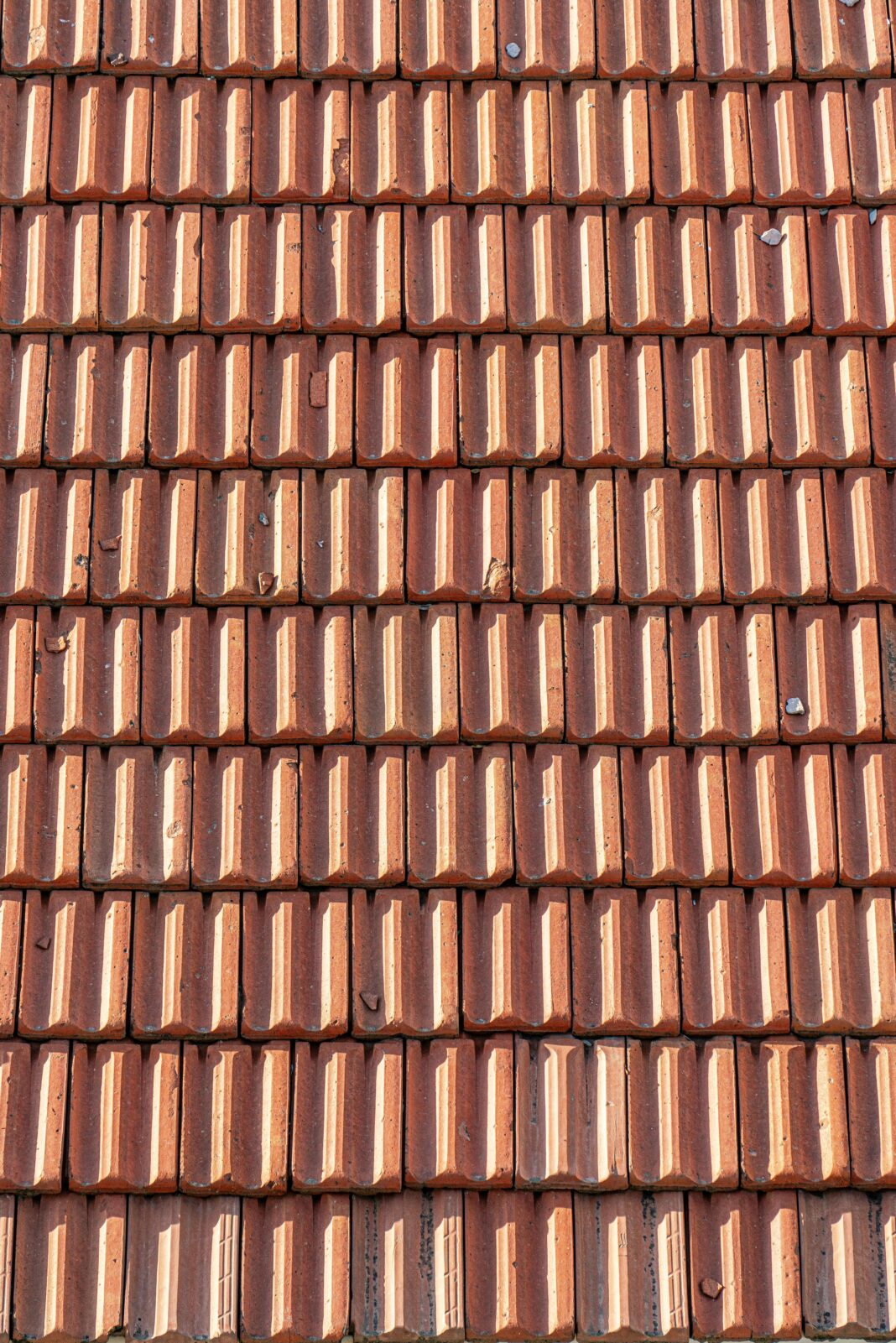Roofing Issues
